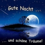 شیوه های دوستانه و رسمی برای گفتن شب بخیر به زبان آلمانی